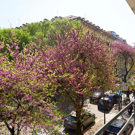 Beautiful In Tricolore - Daniele Apartman *